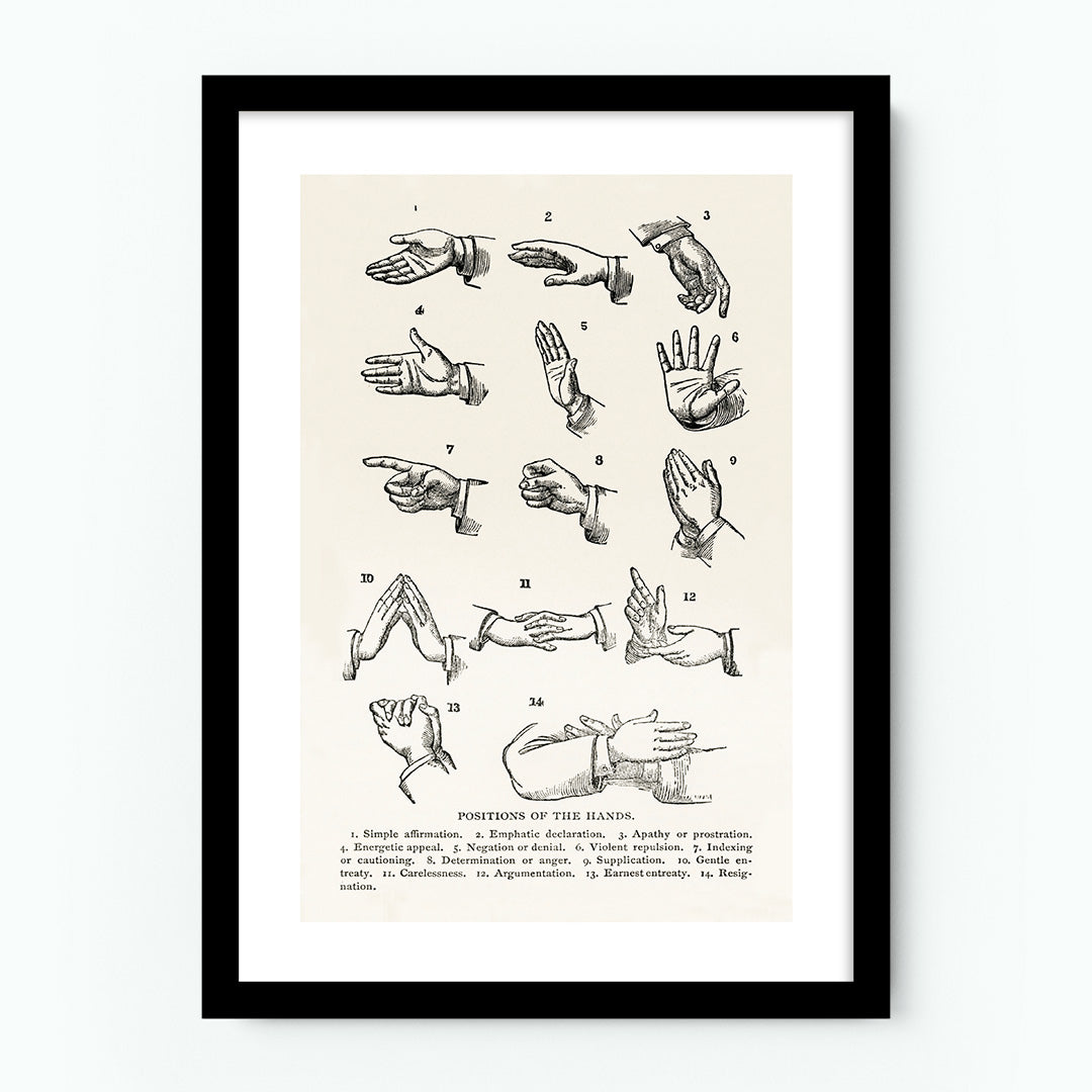 Positions of the Hands Giraffe Poster