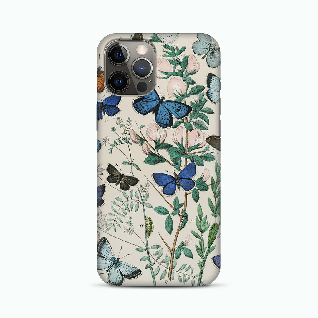 European Butterflies and Moths by William Forsell Phone Case