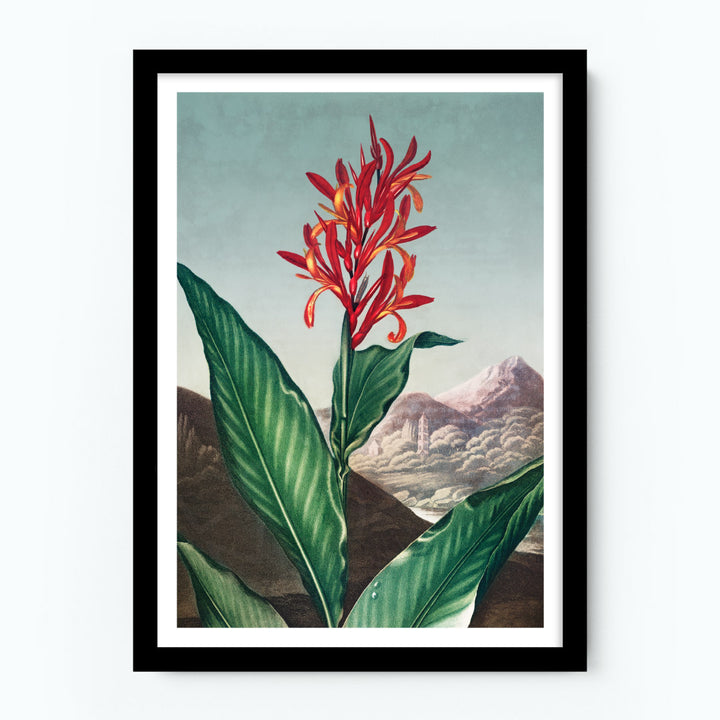 Indian Reed Poster