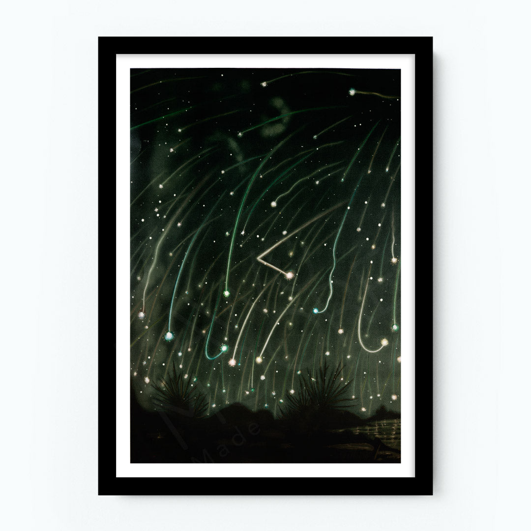The November Meteors Poster