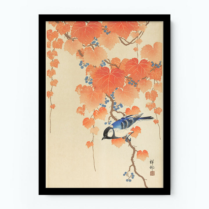 Great Tit on Paulownia Branch Poster
