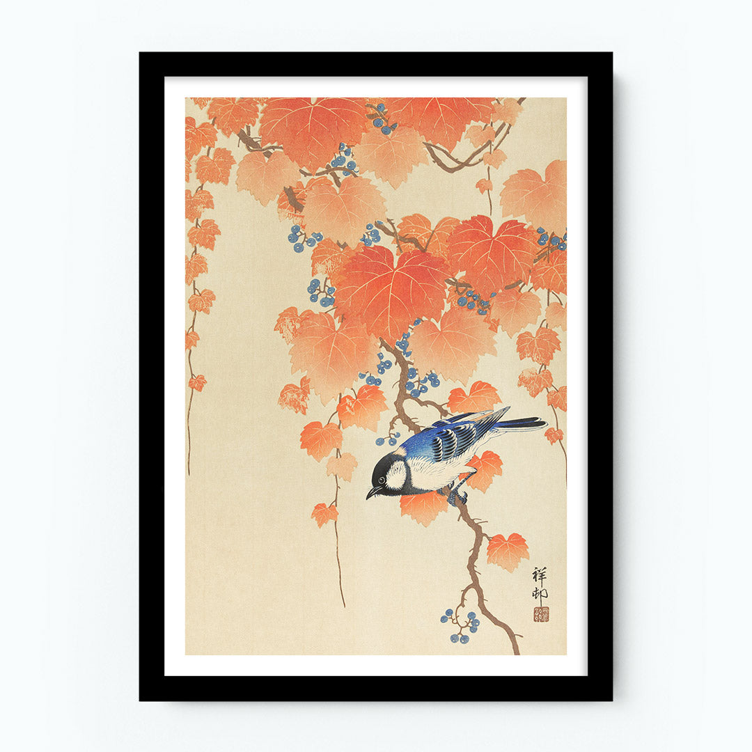 Great Tit on Paulownia Branch Poster