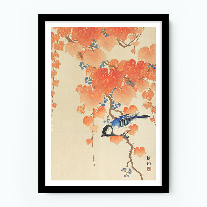 Great Tit on Paulownia Branch Poster