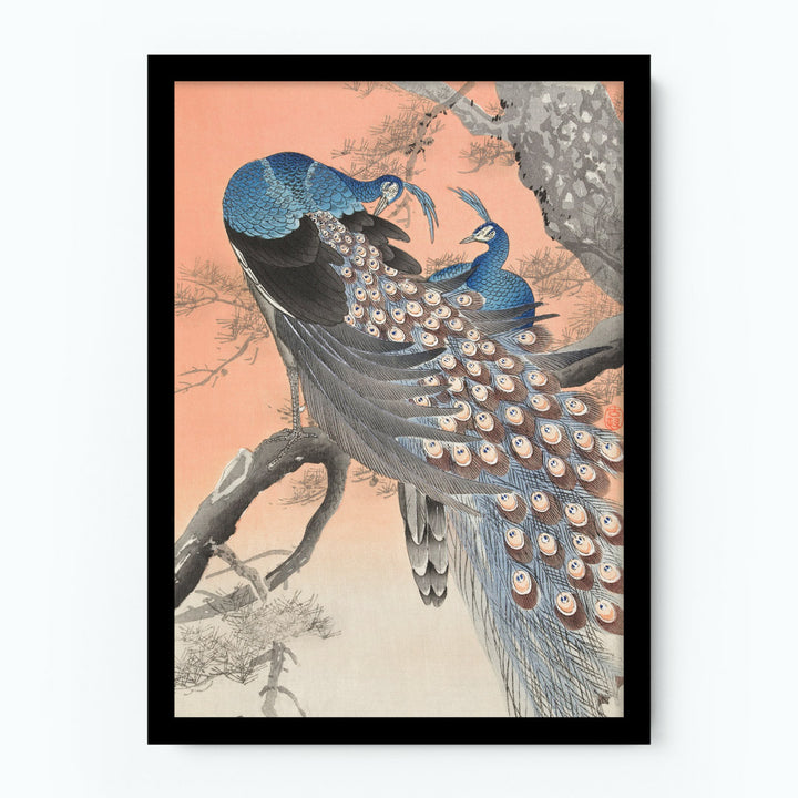 Two Peacocks on Tree Branch Poster
