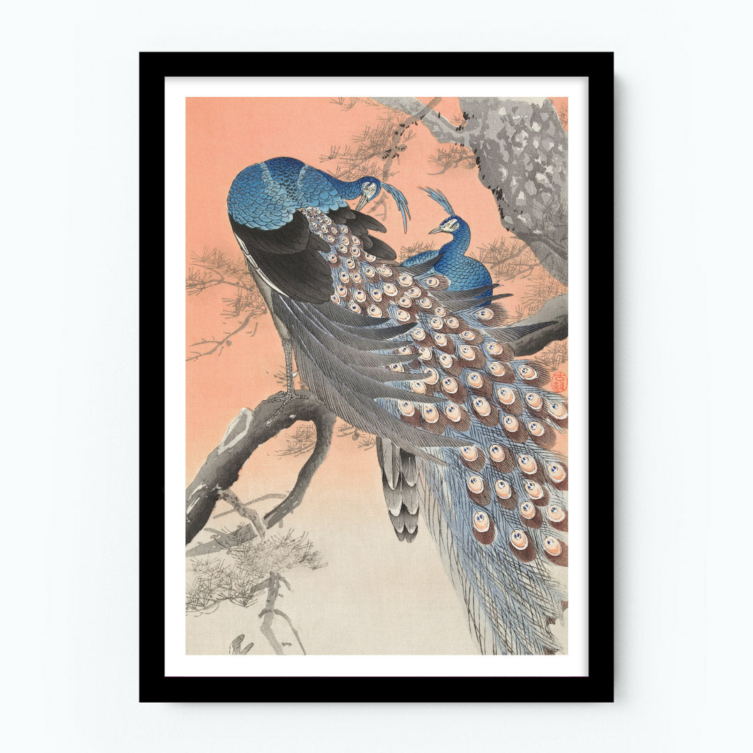Two Peacocks on Tree Branch Poster
