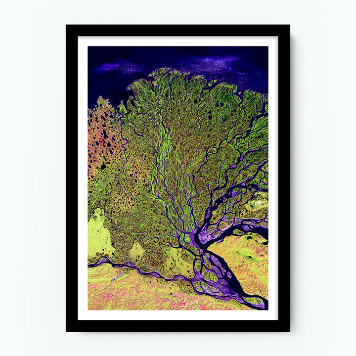 The Lena River – Earth From Above Poster